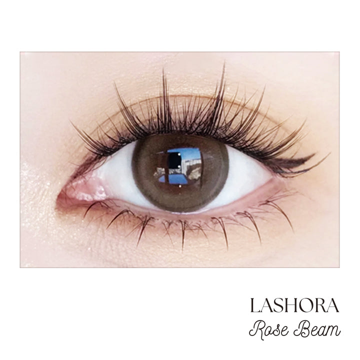 Lashora DIY Cluster Lash Extension Kit